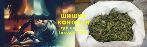 Альфа ПВП Белокуриха