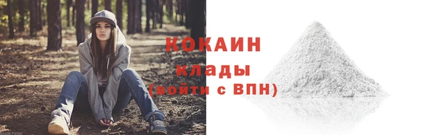 Альфа ПВП Белокуриха
