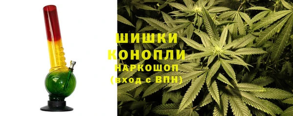 Альфа ПВП Белокуриха